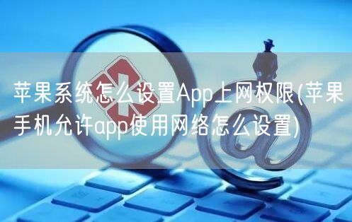 苹果系统怎么设置App上网权限(苹果手机允许app使用网络怎么设置)