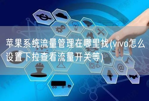 苹果系统流量管理在哪里找(vivo怎么设置下拉查看流量开关等)