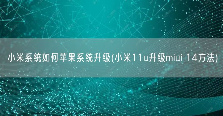 小米系统如何苹果系统升级(小米11u升级miui 14方法)