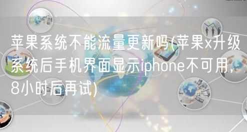 苹果系统不能流量更新吗(苹果x升级系统后手机界面显示iphone不可用，8小时后再试)