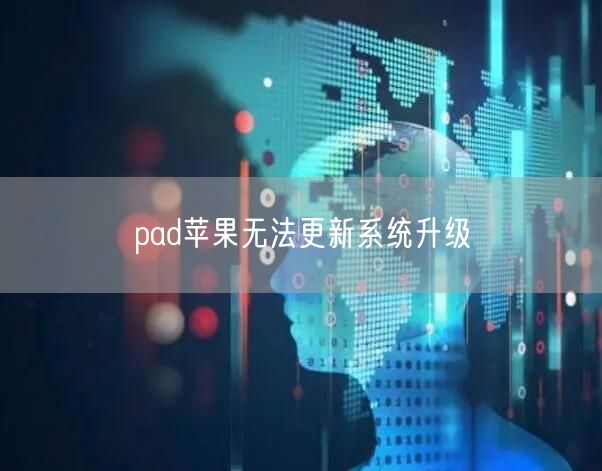 pad苹果无法更新系统升级