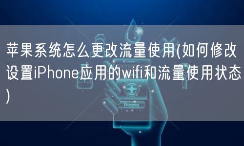 苹果系统怎么更改流量使用(如何修改设置iPhone应用的wifi和流量使用状态)