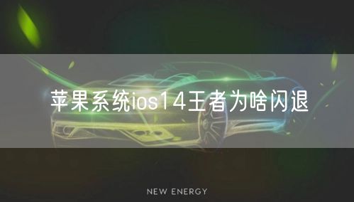 苹果系统ios14王者为啥闪退