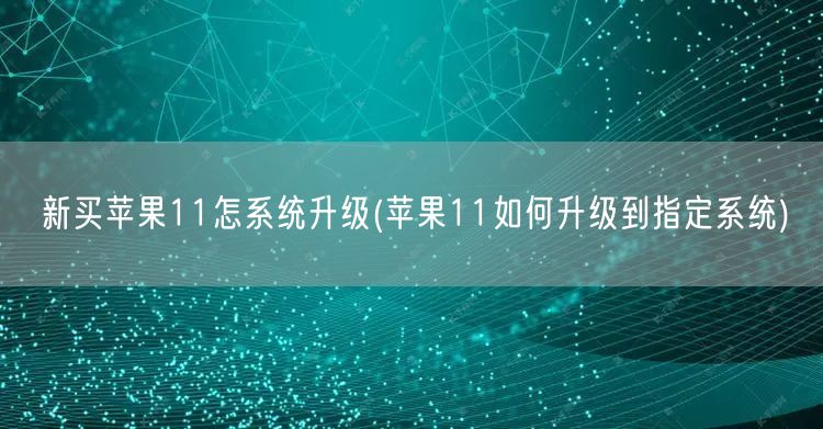 新买苹果11怎系统升级(苹果11如何升级到指定系统)