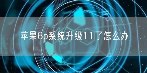 苹果6p系统升级11了怎么办