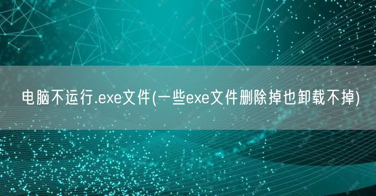 电脑不运行.exe文件(一些exe文件删除掉也卸载不掉)