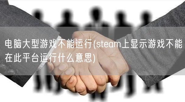 电脑大型游戏不能运行(steam上显示游戏不能在此平台运行什么意思)