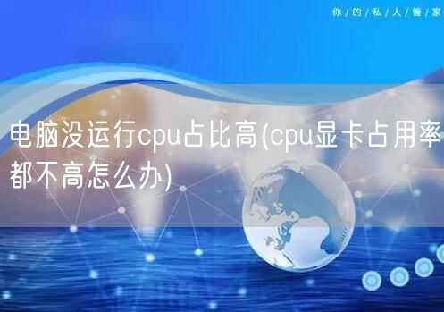 电脑没运行cpu占比高(cpu显卡占用率都不高怎么办)