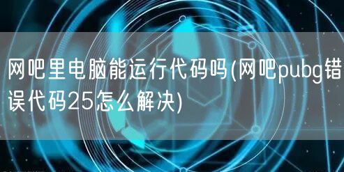 网吧里电脑能运行代码吗(网吧pubg错误代码25怎么解决)