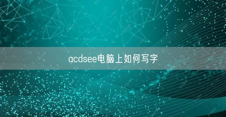 acdsee电脑上如何写字